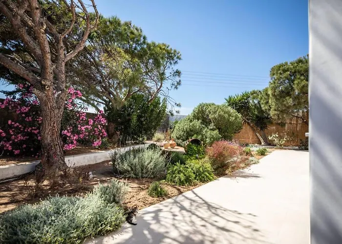 Paraga プラティス・ヤロス